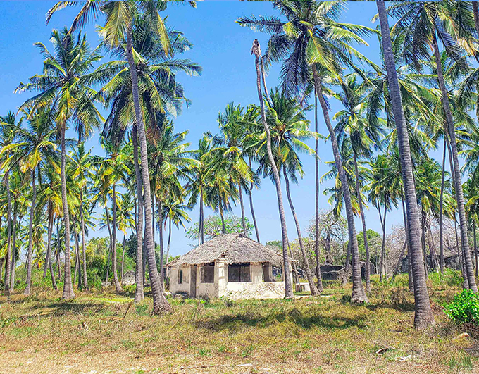 Nungwi Village Tour